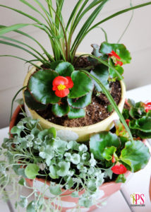 Container Gardening Tips from Positively Splendid