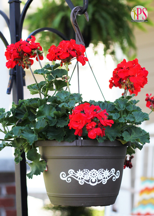 Vinyl-Embellished Hanging Baskets :: PositivelySplendid.com