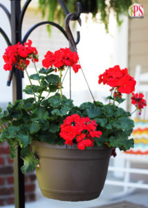 Vinyl-Embellished Hanging Baskets :: PositivelySplendid.com
