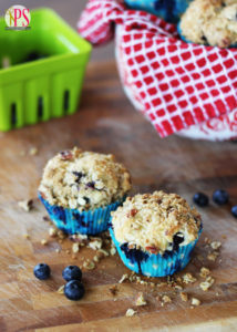 Blueberry Muffins with Oat-Pecan Streusel Recipe at PositivelySplendid.com