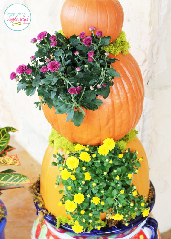Stacked Pumpkin Planter at Positively Splendid - Such a unique idea for fall!