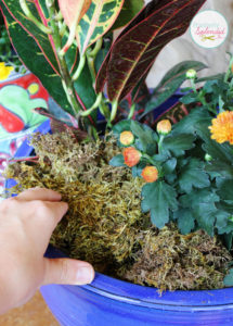 Stacked Pumpkin Planter at Positively Splendid - Such a unique idea for fall!