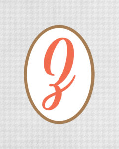 Grey Monogram Z