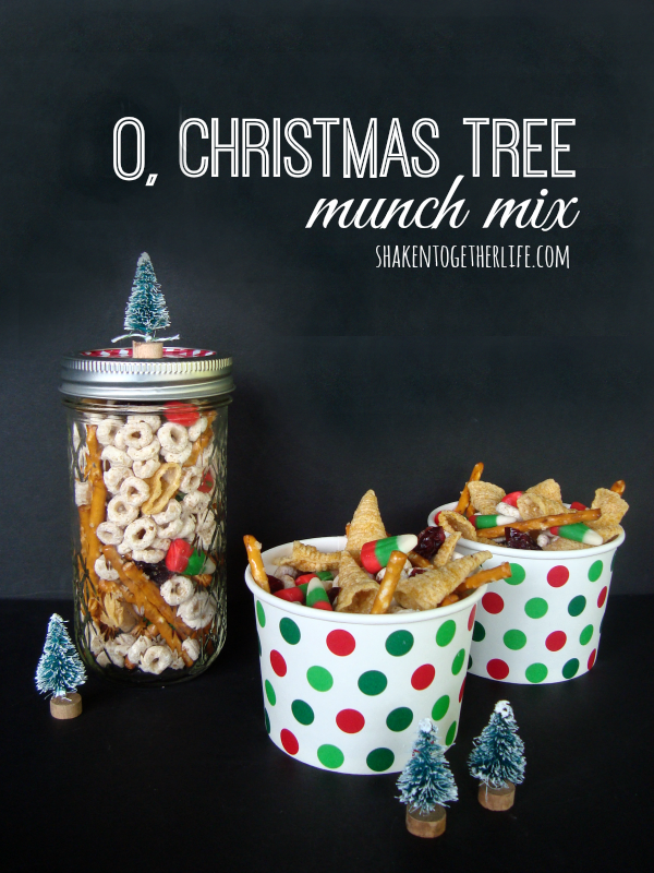 This yummy Christmas snack mix is the perfect combination of salty & sweet! I can't wait to make a batch! #SwellNoel
