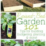 Great information for anyone wanting to try out raised-bed gardening. Tips for building, budgeting, planting and more!