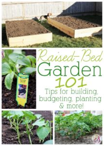 Great information for anyone wanting to try out raised-bed gardening. Tips for building, budgeting, planting and more!
