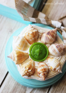 Make ornaments from shells gathered at the beach for a lovely memento. So fun! #modpodge #plaidcrafts