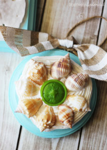 Make ornaments from shells gathered at the beach for a lovely memento. So fun! #modpodge #plaidcrafts