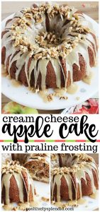 Apple Cream Cheese Cake with Praline Frosting - A delicious recipe to use fall apples!