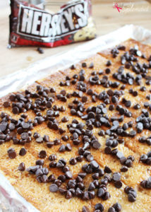Dark Chocolate Toffee Bark Recipe--made with saltine crackers, believe it or not! #NewTraditions