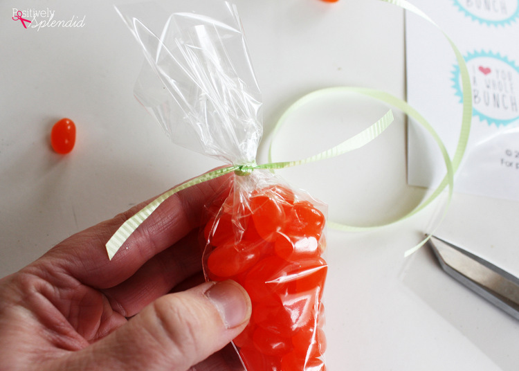 Jelly bean carrot treat bags at Positively Splendid. An adorable idea for filling Easter baskets!
