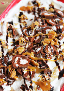 Turtle Swirl Ice Cream Cake - Pretty, delicious and SO easy to make!