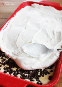 Turtle Swirl Ice Cream Cake - Pretty, delicious and SO easy to make!