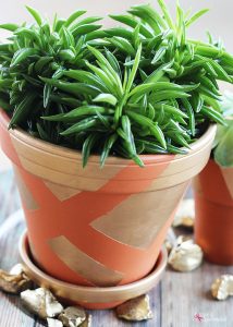 DIY Gold Painted Terracotta Pot