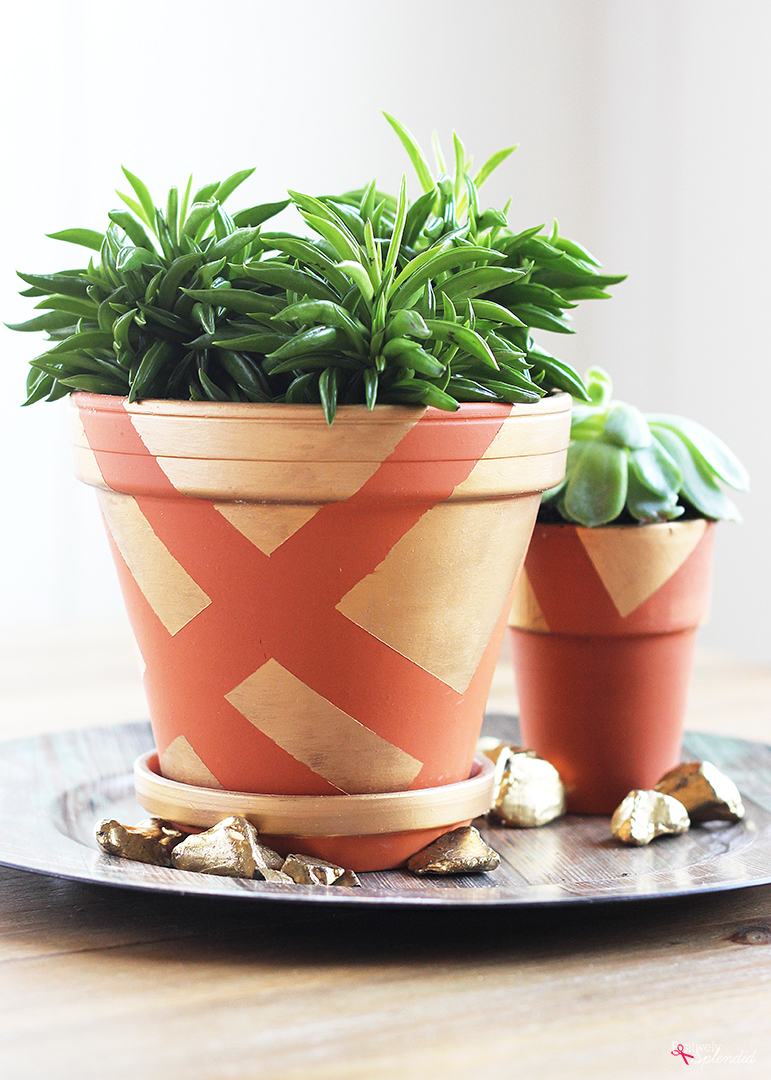 DIY Gold Painted Clay Pots