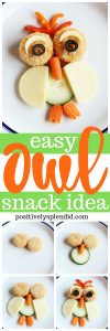 Owl Snack Idea - Such a fun idea for an owl party or owl baby shower!