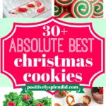 Christmas Cookie Recipes