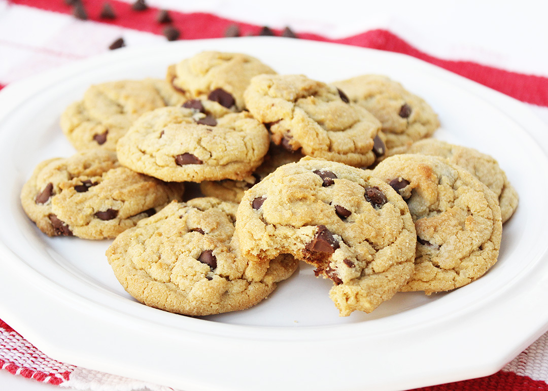 Chewy Chocolate Chip Cookie Recipe