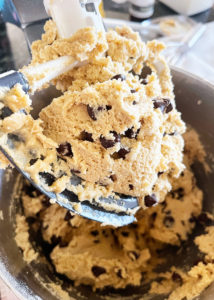 Chocolate Chip Cookie Dough